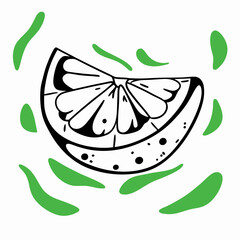 Hand-drawn Lemon Slice Illustration, Citrus Fruit, Green Background