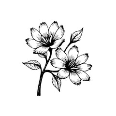 Elegant floral botanical illustration showcasing delicate blossoms and intricate linework adds timeless beauty and charm
