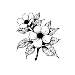 Elegant floral drawing featuring delicate flowers and leaves, showcasing artistic detail and nature's beauty making it a wonderful illustration