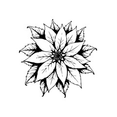 Elegant poinsettia flower illustration showcasing delicate petals and intricate details in a minimalist black and white design