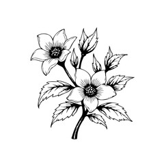 Delicate floral illustration with intricate details, a charming bouquet for decorative elegance showcasing botanical beauty in monochrome