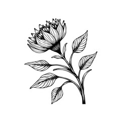 Elegant floral line art illustration showcasing a blooming flower and intricate leaf details, providing a botanical charm and beauty