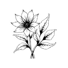 Delicate floral illustration showcasing an exquisite flower with intricate details and graceful leaves in black and white