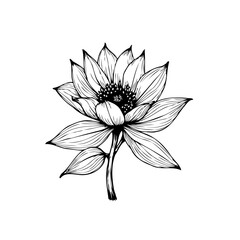 Elegant monochrome floral design showing delicate petals and intricate details creating a captivating visual