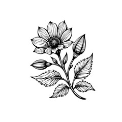 Elegant botanical illustration featuring a blooming flower with detailed petals leaves buds on a delicate branch art