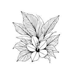 Detailed botanical drawing featuring a delicate flower surrounded by intricate leaf patterns showcases the elegance of nature