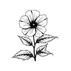 Elegant floral drawing with delicate petals and leaves showcasing botanical beauty in a minimalist design