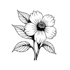 Elegant floral botanical illustration with delicate petals and leaves forming a captivating design artwork black
