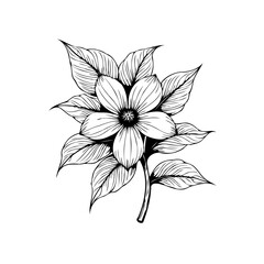 Elegant black and white floral illustration showcasing intricate details of flower and leaves with artistic flair