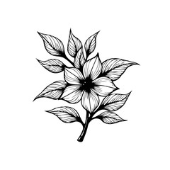 Elegant floral botanical illustration of a flower branch with leaves for decoration and design concept