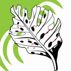 Stylized Monstera Leaf Illustration, Black and White, Green Background