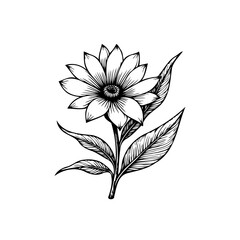 Elegant botanical illustration featuring a detailed drawing of a flower blossom with delicate petals and leaves artistic touch