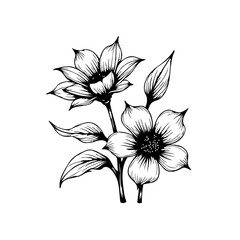 Elegant floral illustration featuring delicate blooming flowers with intricate line work perfect for various designs and artistic projects