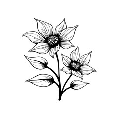 Elegant floral line art illustration featuring blooming flowers leaves and stems for decorative design projects