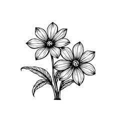 Elegant botanical illustration featuring delicate flowers with intricate details showcasing nature's beauty rendered in grayscale line art