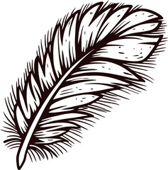 Obraz premium Hand drawn black and white bird feather illustration with detailed sketch lines and textured surface