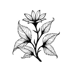 Elegant floral illustration with intricate details of a blooming flower surrounded by leaves in artistic style