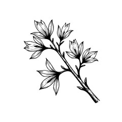 Elegant botanical illustration featuring a blooming branch adorned with delicate blossoms showcasing nature's beauty in minimalistic style
