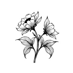 Elegant floral design with intricate line work featuring peony blossoms and detailed leaves in black and white