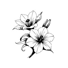 Floral elegance: detailed black and white vector illustration of blooming lilies in artistic drawing style