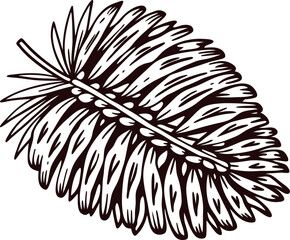 Obraz premium Hand drawn palm leaf illustration with detailed vintage engraving isolated on white background