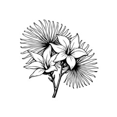Elegant hand drawn tropical flowers and palm leaves vector illustration with white background perfect for design projects