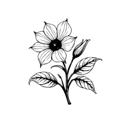 Elegant botanical line art of a flower with leaves and bud showcases graceful simplicity