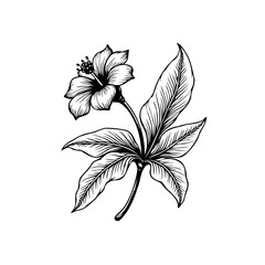 Elegant floral botanical illustration featuring a hibiscus blossom with intricate leaf details and delicate shading creates a visually appealing composition