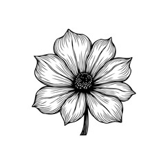 Elegant monochrome floral illustration with intricate line work showcasing a single flower design with delicate petals