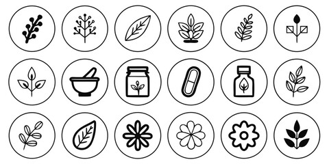 Various herbal medicine icons are displayed isolated on white background