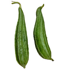 a pair of fresh ridge gourd isolated on a white background