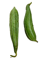 a pair of fresh ridge gourd isolated on a white background