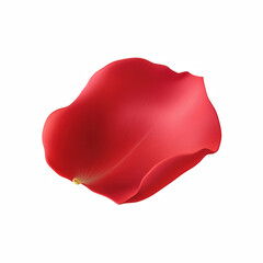 Fototapeta premium Single red rose petal with realistic texture and soft curved edges isolated on transparent background.