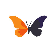 Fototapeta premium Orange and Black Butterfly Illustration-Minimalist Butterfly Graphic-Insect Art for Kids-Butterfly Icon-Winged Beauty Design-Colorful Butterfly Image