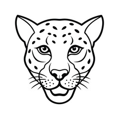 vector illustration of a tiger