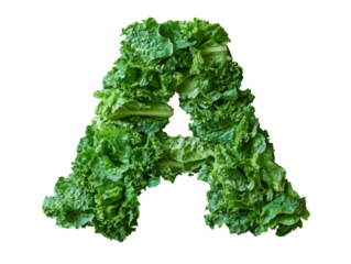 A is made of lettuce