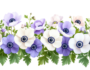 Seamless Border of Anemone Flowers with Subtle Color Variation, isolated on a transparent background.