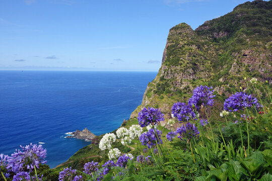 Trek &agrave; Mad&egrave;re 2025 - Jour 4 (Lombo do Urzal, levada Dos Tornos, Lamaceiros, Solar da Boaventura)
