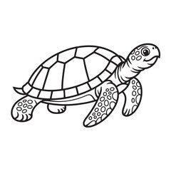 Cartoon sea turtle swimming underwater animal illustration