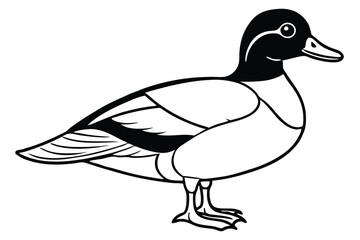 Simple Black and White Illustration of a Standing Mallard Duck Graphic Bird