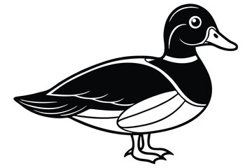 Black and white duck illustration with detailed feather and foot outlines in side view