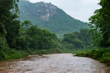 Rain-fed river in lush forest, Ayodhya Hills during monsoon season