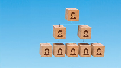 Organizational Chart Hierarchy, Team Structure, Management, Leadership, and Business