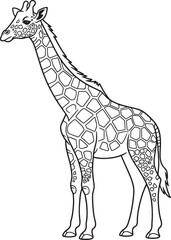 Giraffe standing tall with patterned coat animal mammal