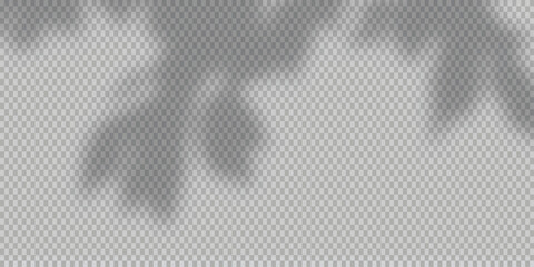 Natural tree branch shadow overlay with realistic leaf patterns, isolated on transparent background for photo effects, digital design, and mockup use