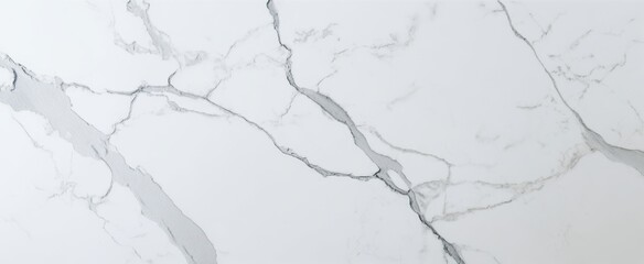 Fototapeta premium The elegant marble surface with intricate gray veining for interior design use.