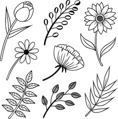 Black and white botanical line art collection of flowers and leaves floral tulip