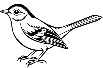 Elegant Black and White Line Art Illustration of a Standing Bird with Details