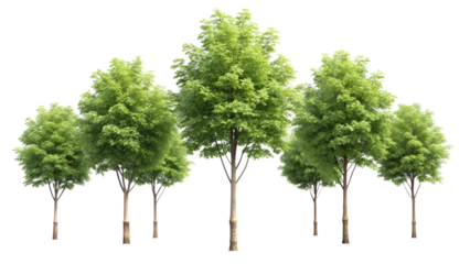 Group of Lush Green Trees on Transparent Background