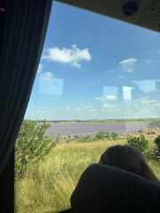 Lavender Fields Seen from Bus Window